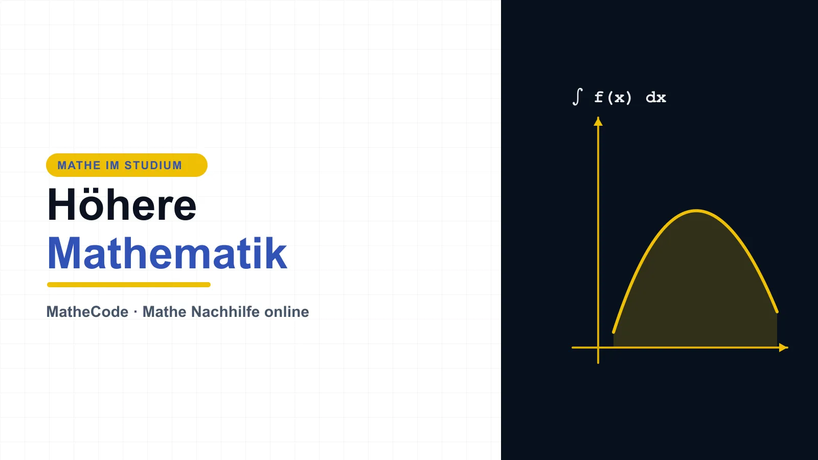 Illustration mit Integralzeichen zur Höheren Mathematik im Studium